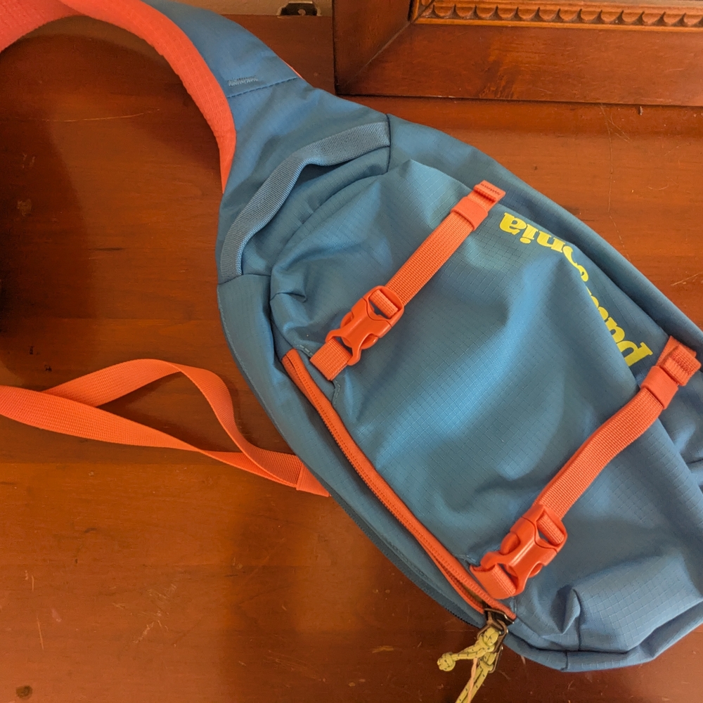 Patagonia Blue and Orange Bag